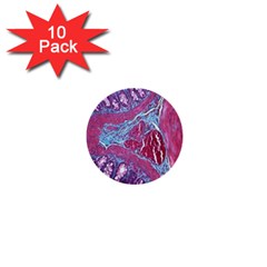 Natural Stone Red Blue Space Explore Medical Illustration Alternative 1  Mini Buttons (10 Pack) 