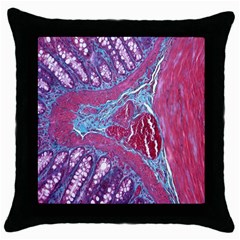 Natural Stone Red Blue Space Explore Medical Illustration Alternative Throw Pillow Case (black) by Mariart