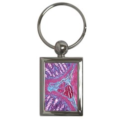 Natural Stone Red Blue Space Explore Medical Illustration Alternative Key Chains (rectangle)  by Mariart