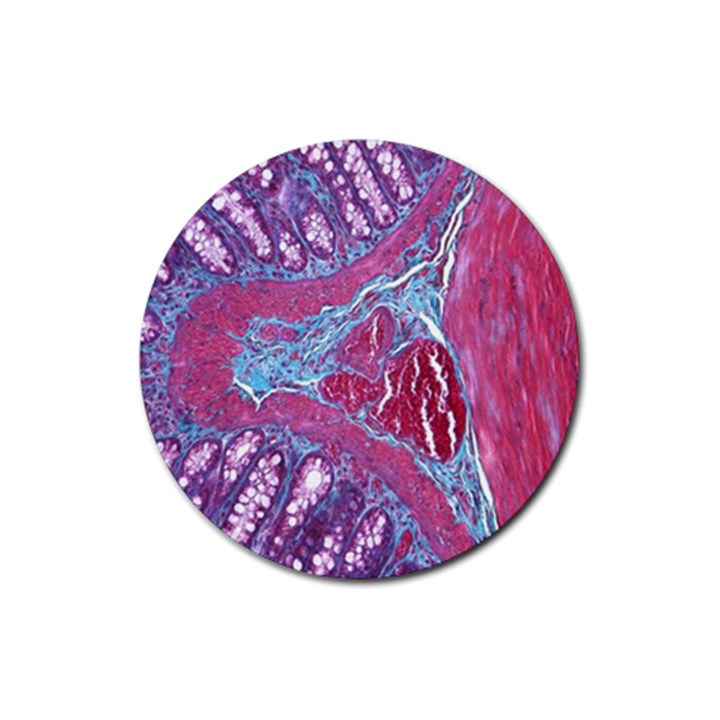 Natural Stone Red Blue Space Explore Medical Illustration Alternative Rubber Coaster (Round) 