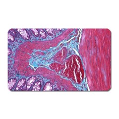 Natural Stone Red Blue Space Explore Medical Illustration Alternative Magnet (rectangular) by Mariart