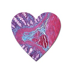 Natural Stone Red Blue Space Explore Medical Illustration Alternative Heart Magnet by Mariart