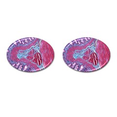 Natural Stone Red Blue Space Explore Medical Illustration Alternative Cufflinks (oval) by Mariart