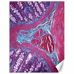 Natural Stone Red Blue Space Explore Medical Illustration Alternative Canvas 12  X 16   by Mariart