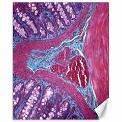 Natural Stone Red Blue Space Explore Medical Illustration Alternative Canvas 16  X 20  