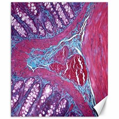 Natural Stone Red Blue Space Explore Medical Illustration Alternative Canvas 20  X 24   by Mariart