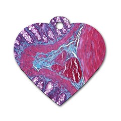 Natural Stone Red Blue Space Explore Medical Illustration Alternative Dog Tag Heart (one Side) by Mariart