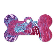 Natural Stone Red Blue Space Explore Medical Illustration Alternative Dog Tag Bone (one Side) by Mariart