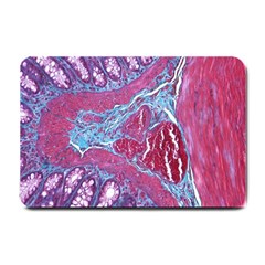 Natural Stone Red Blue Space Explore Medical Illustration Alternative Small Doormat  by Mariart