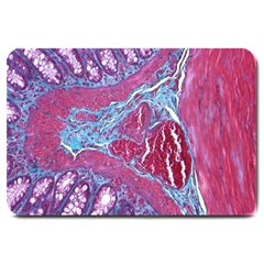 Natural Stone Red Blue Space Explore Medical Illustration Alternative Large Doormat  by Mariart