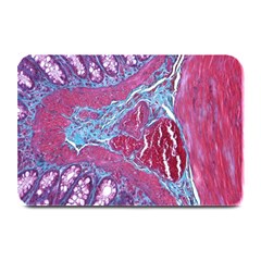 Natural Stone Red Blue Space Explore Medical Illustration Alternative Plate Mats by Mariart