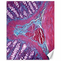 Natural Stone Red Blue Space Explore Medical Illustration Alternative Canvas 11  X 14   by Mariart