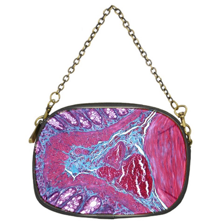 Natural Stone Red Blue Space Explore Medical Illustration Alternative Chain Purses (One Side) 