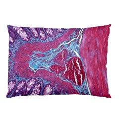 Natural Stone Red Blue Space Explore Medical Illustration Alternative Pillow Case by Mariart