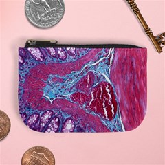 Natural Stone Red Blue Space Explore Medical Illustration Alternative Mini Coin Purses by Mariart