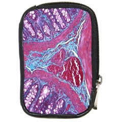 Natural Stone Red Blue Space Explore Medical Illustration Alternative Compact Camera Cases by Mariart