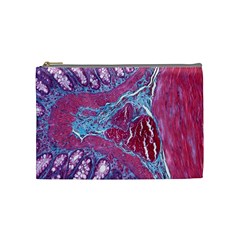 Natural Stone Red Blue Space Explore Medical Illustration Alternative Cosmetic Bag (medium)  by Mariart