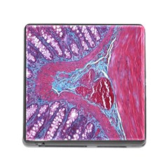 Natural Stone Red Blue Space Explore Medical Illustration Alternative Memory Card Reader (square) by Mariart