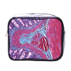 Natural Stone Red Blue Space Explore Medical Illustration Alternative Mini Toiletries Bags by Mariart