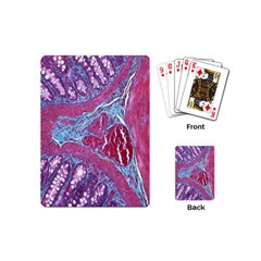 Natural Stone Red Blue Space Explore Medical Illustration Alternative Playing Cards (mini)  by Mariart