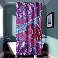 Natural Stone Red Blue Space Explore Medical Illustration Alternative Shower Curtain 36  X 72  (stall)  by Mariart