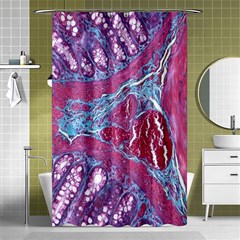 Natural Stone Red Blue Space Explore Medical Illustration Alternative Shower Curtain 48  X 72  (small)  by Mariart