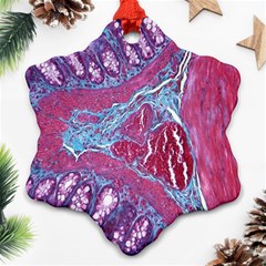 Natural Stone Red Blue Space Explore Medical Illustration Alternative Ornament (snowflake) by Mariart