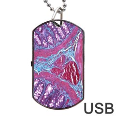 Natural Stone Red Blue Space Explore Medical Illustration Alternative Dog Tag Usb Flash (two Sides) by Mariart