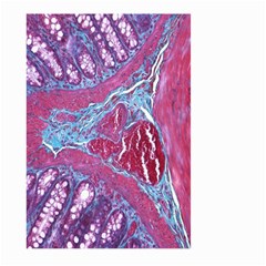 Natural Stone Red Blue Space Explore Medical Illustration Alternative Large Garden Flag (two Sides)