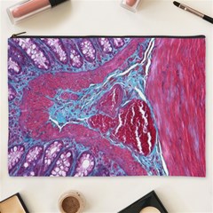 Natural Stone Red Blue Space Explore Medical Illustration Alternative Cosmetic Bag (xxxl)  by Mariart