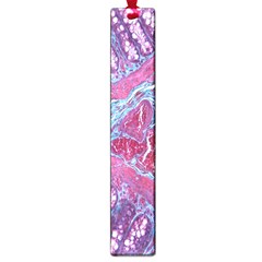 Natural Stone Red Blue Space Explore Medical Illustration Alternative Large Book Marks