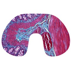 Natural Stone Red Blue Space Explore Medical Illustration Alternative Travel Neck Pillows