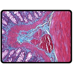 Natural Stone Red Blue Space Explore Medical Illustration Alternative Double Sided Fleece Blanket (large)  by Mariart