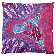 Natural Stone Red Blue Space Explore Medical Illustration Alternative Standard Flano Cushion Case (two Sides) by Mariart