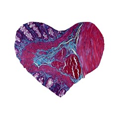 Natural Stone Red Blue Space Explore Medical Illustration Alternative Standard 16  Premium Flano Heart Shape Cushions by Mariart