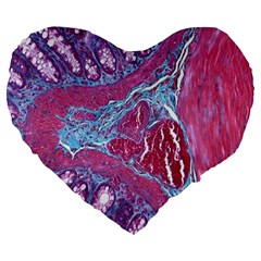 Natural Stone Red Blue Space Explore Medical Illustration Alternative Large 19  Premium Flano Heart Shape Cushions by Mariart