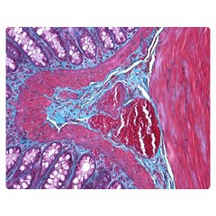 Natural Stone Red Blue Space Explore Medical Illustration Alternative Double Sided Flano Blanket (medium)  by Mariart