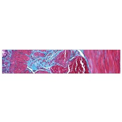 Natural Stone Red Blue Space Explore Medical Illustration Alternative Flano Scarf (small) by Mariart