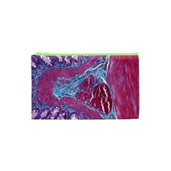 Natural Stone Red Blue Space Explore Medical Illustration Alternative Cosmetic Bag (xs) by Mariart