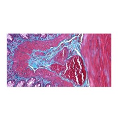 Natural Stone Red Blue Space Explore Medical Illustration Alternative Satin Wrap by Mariart