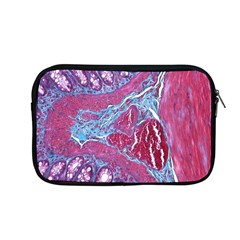 Natural Stone Red Blue Space Explore Medical Illustration Alternative Apple Macbook Pro 13  Zipper Case by Mariart