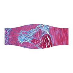 Natural Stone Red Blue Space Explore Medical Illustration Alternative Stretchable Headband by Mariart