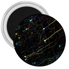 Neurons Light Neon Net 3  Magnets by Mariart