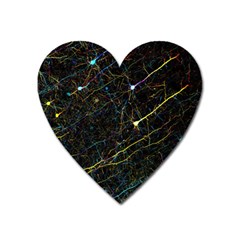 Neurons Light Neon Net Heart Magnet by Mariart