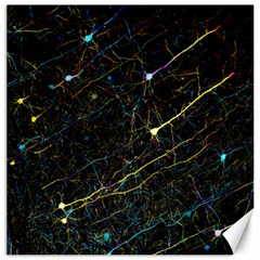 Neurons Light Neon Net Canvas 16  X 16   by Mariart