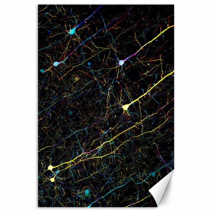 Neurons Light Neon Net Canvas 24  x 36 