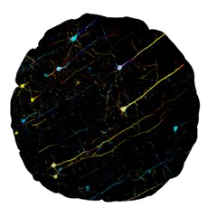 Neurons Light Neon Net Large 18  Premium Flano Round Cushions by Mariart