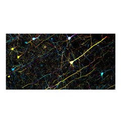 Neurons Light Neon Net Satin Shawl