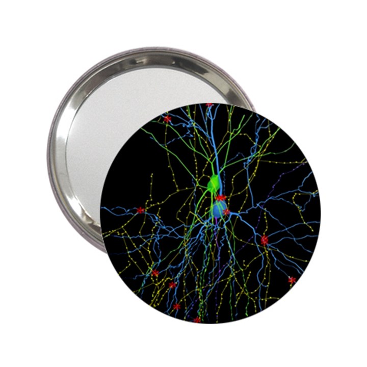 Synaptic Connections Between Pyramida Neurons And Gabaergic Interneurons Were Labeled Biotin During 2.25  Handbag Mirrors