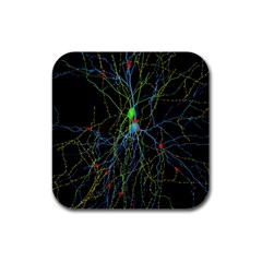 Synaptic Connections Between Pyramida Neurons And Gabaergic Interneurons Were Labeled Biotin During Rubber Square Coaster (4 Pack)  by Mariart